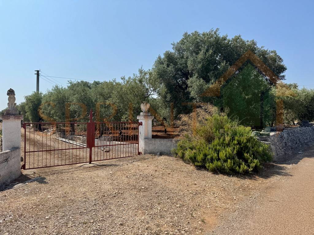 Terreno a Monopoli in Contrada Guidano - Foto 4