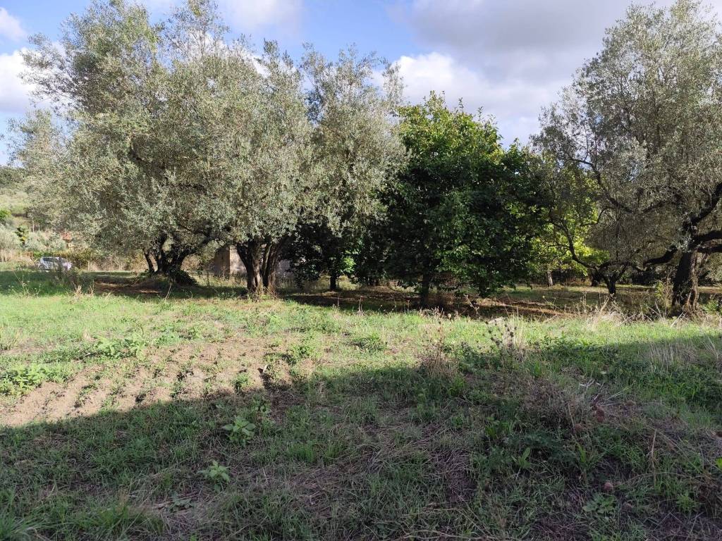 Terreno a Marta in Strada dei Carri - Foto 5