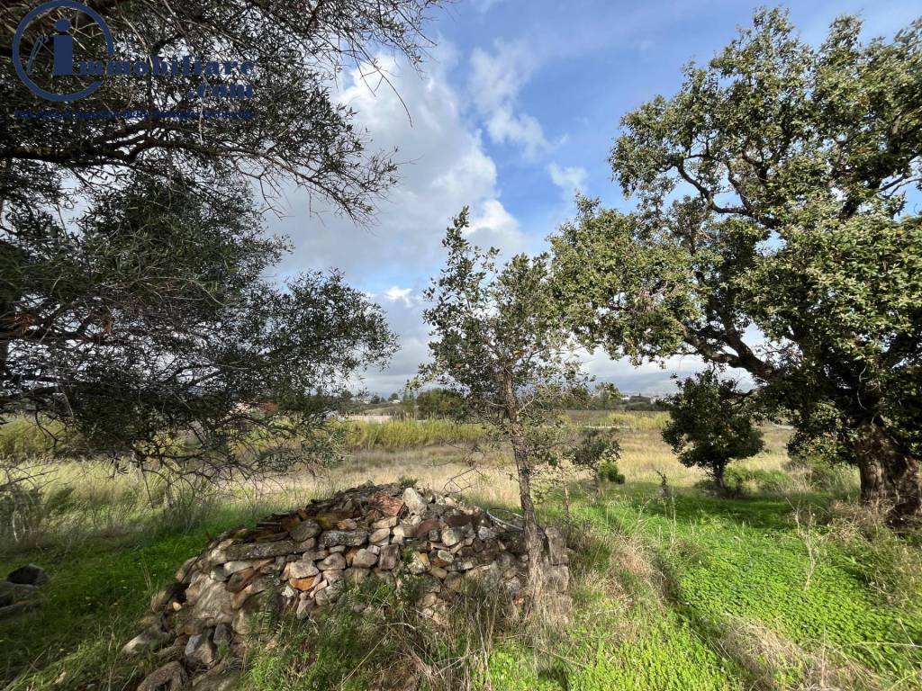 Terreno a Girasole - Foto 2