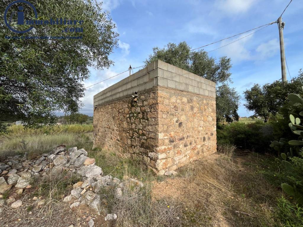 Terreno a Girasole - Foto 3