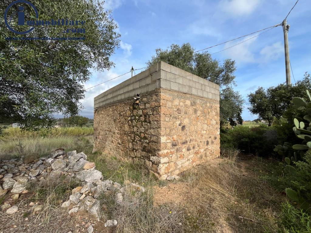 Terreno a Girasole - Foto 4