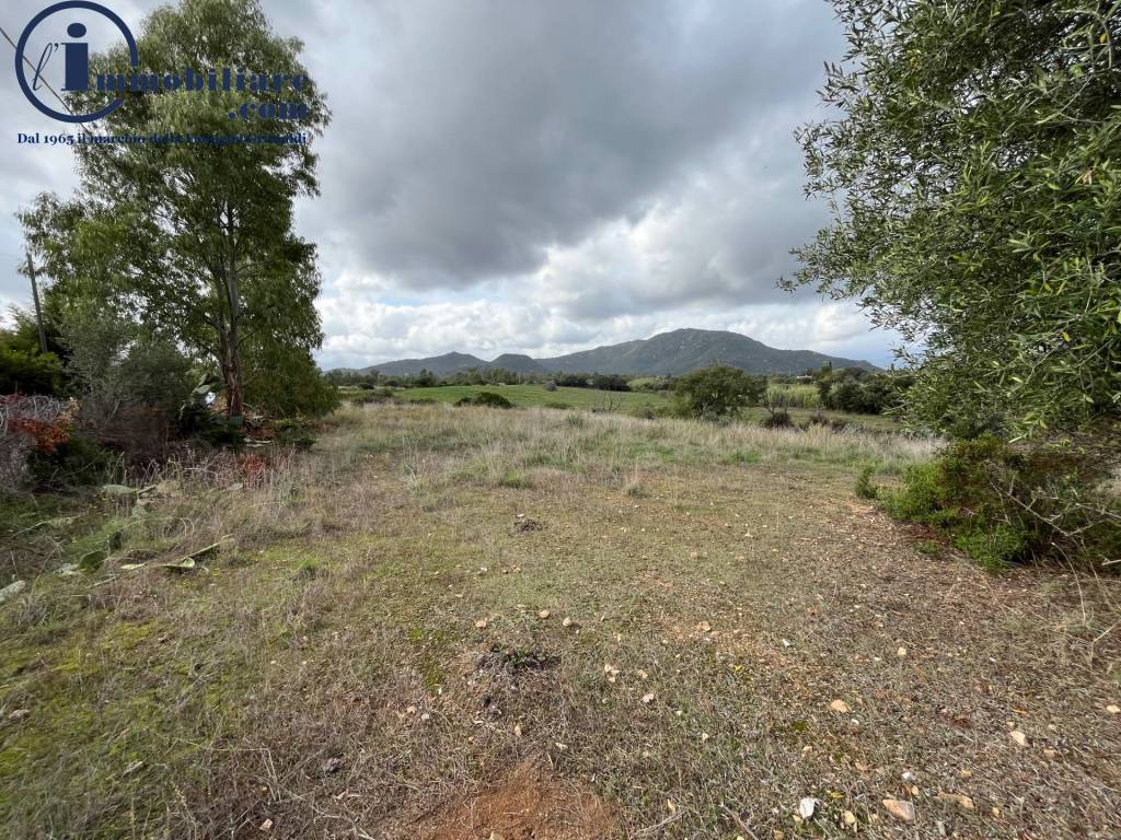 Terreno a Girasole - Foto 5