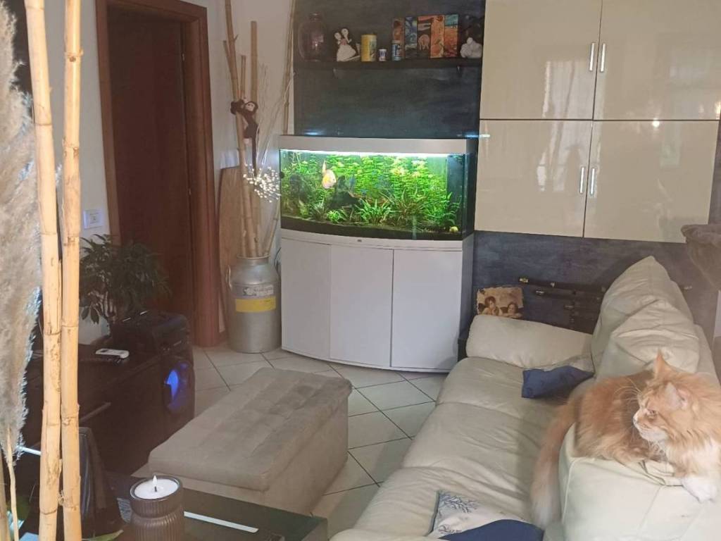 Appartamento a Verona in Via Giovanni Scudeler - Foto 5