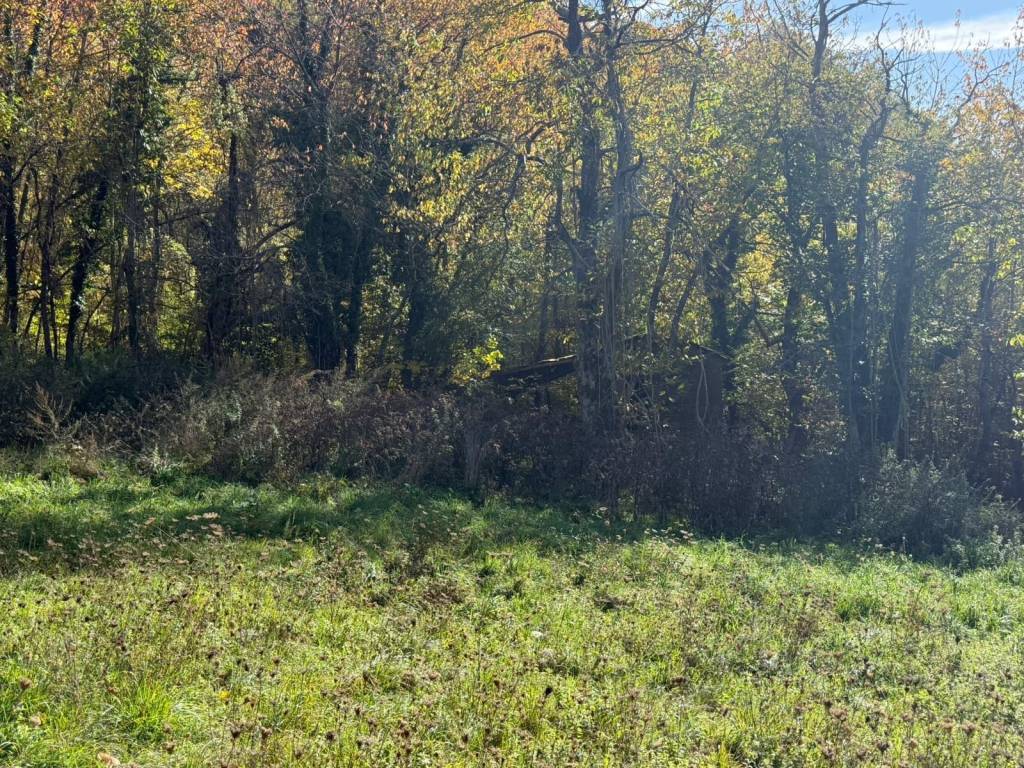 Rustico / casale a Bardi in Strada Provinciale 359 R - Foto 3