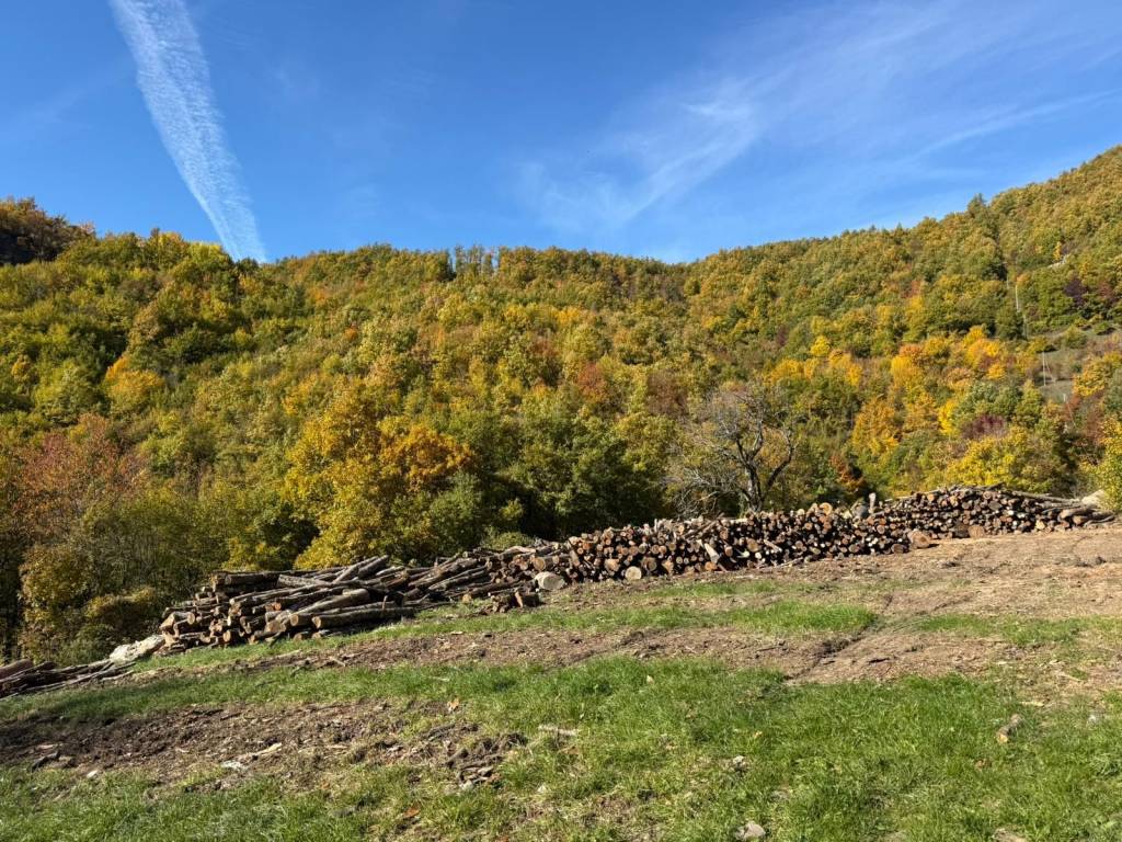 Rustico / casale a Bardi in Strada Provinciale 359 R - Foto 4