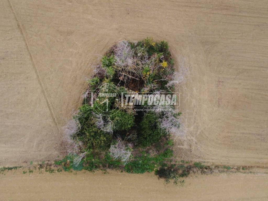 Rustico / casale a Recanati in Contrada San Francesco - Foto 5