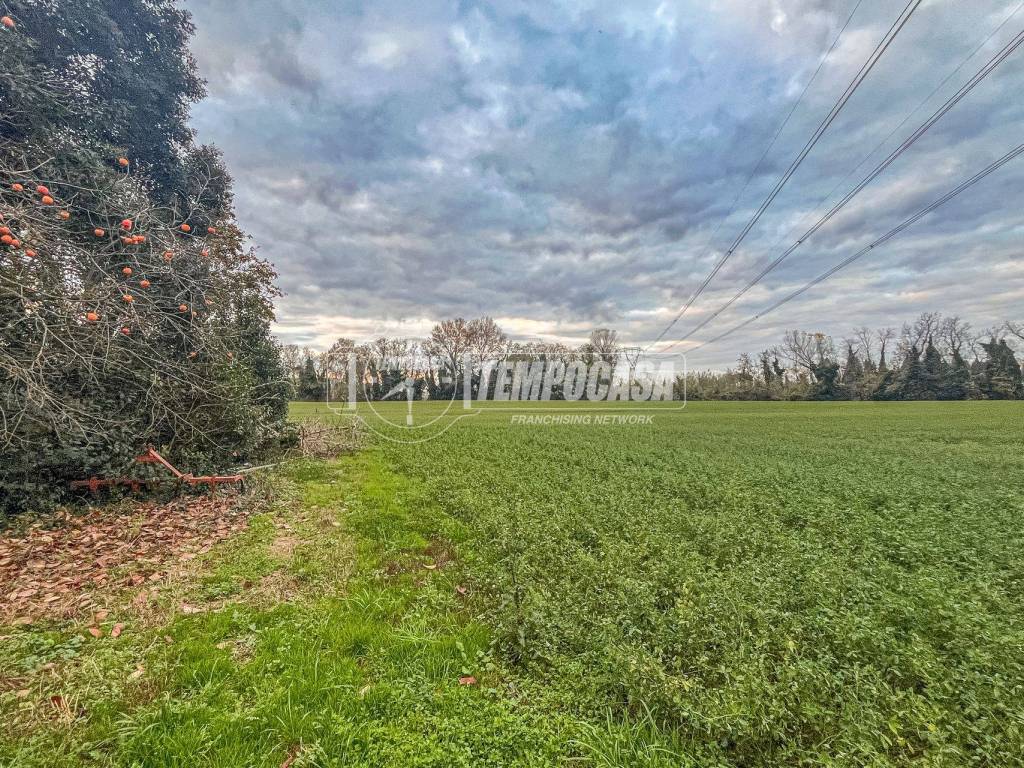 Terreno a Cervia in Via Cannuzzola - Foto 3