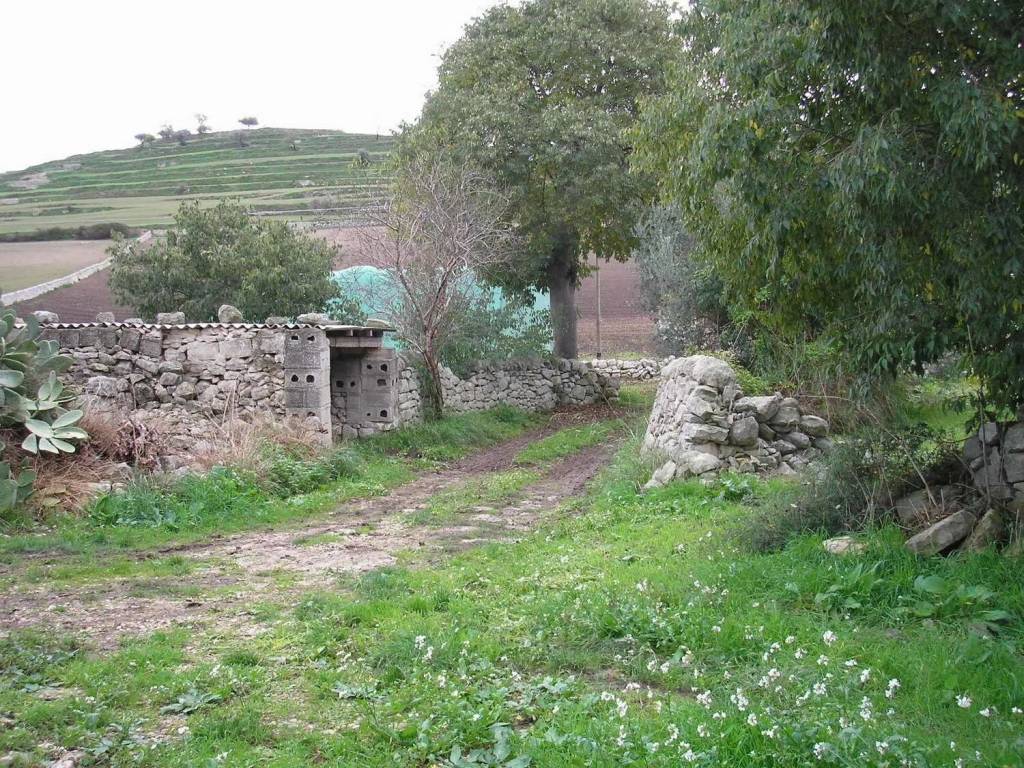 Rustico / casale a Ragusa - Foto 3