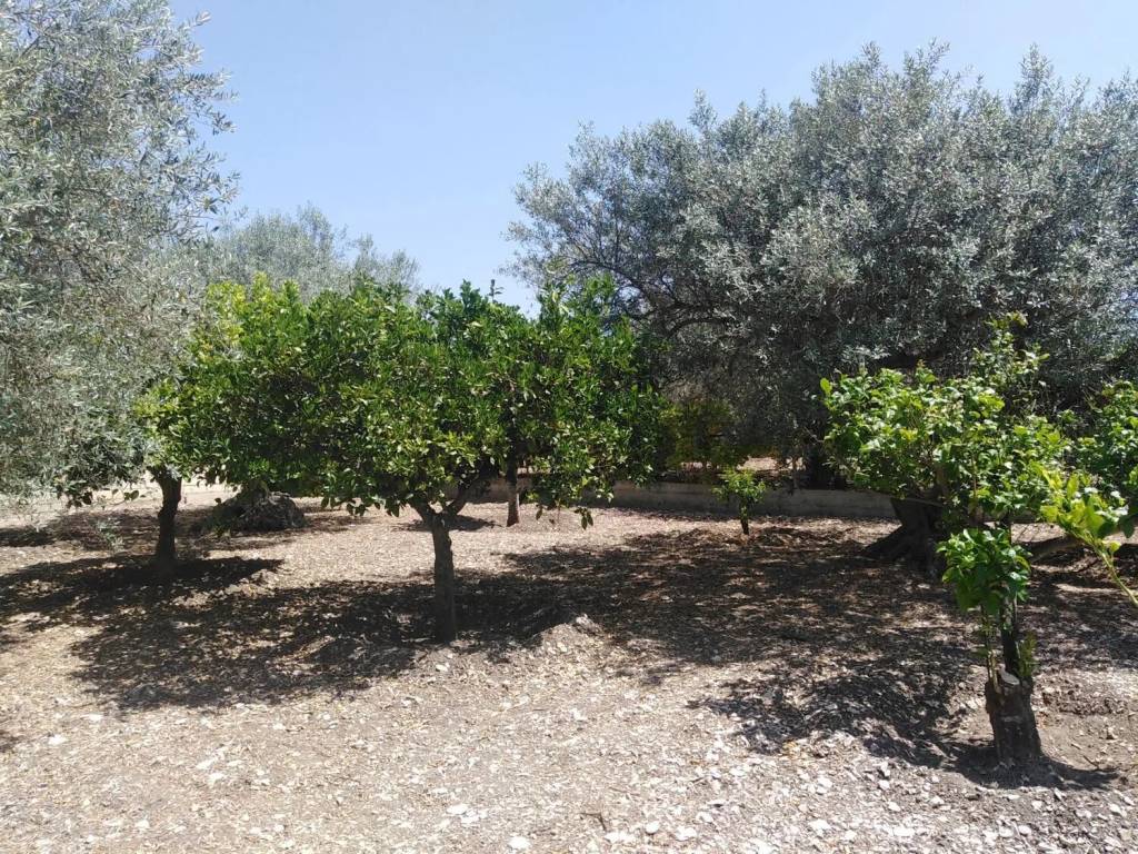 Villa a Ragusa in Neighbourhood: Cattedrale - Ecce - Foto 3