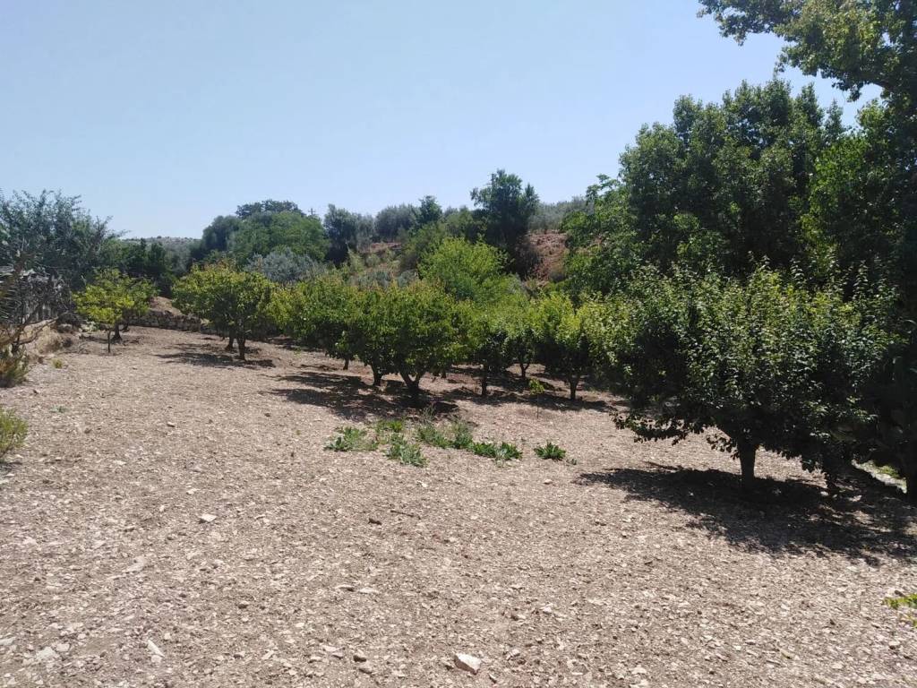 Villa a Ragusa in Neighbourhood: Cattedrale - Ecce - Foto 4