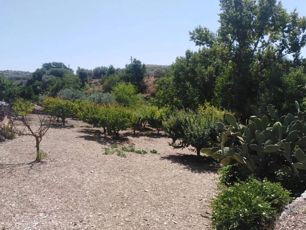 Villa a Ragusa in Neighbourhood: Cattedrale - Ecce - Foto 5