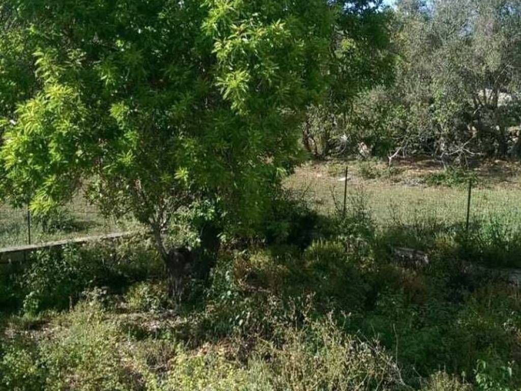 Rustico / casale a Ragusa in Neighbourhood: Cattedrale - Ecce - Foto 3