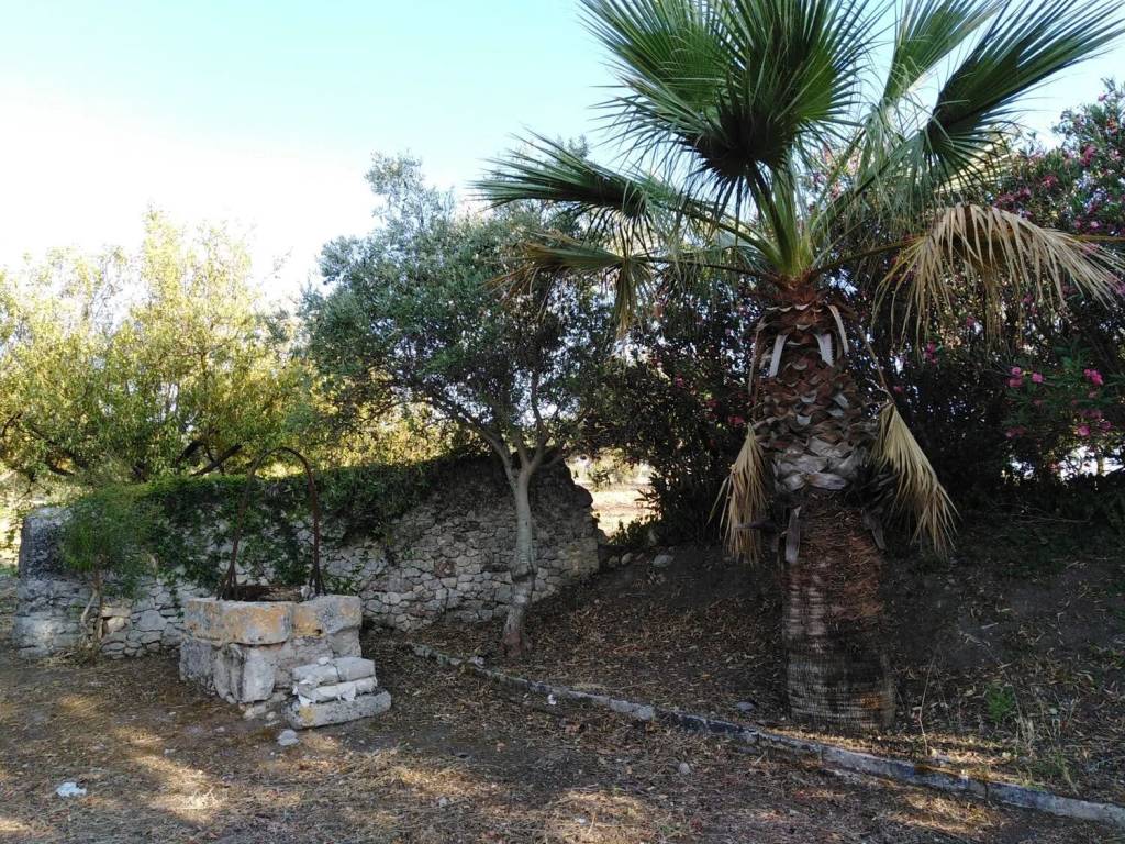 Villa a Ragusa in Neighbourhood: Cattedrale - Ecce - Foto 2