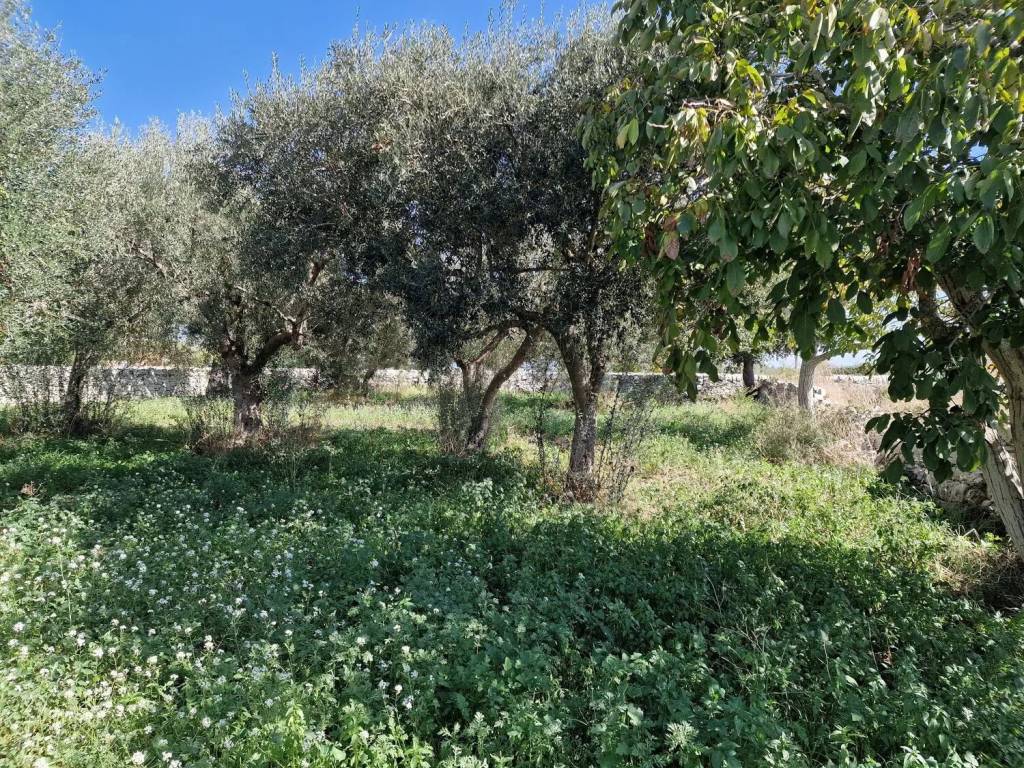 Terreno a Modica in Miglifulo No Number - Foto 2