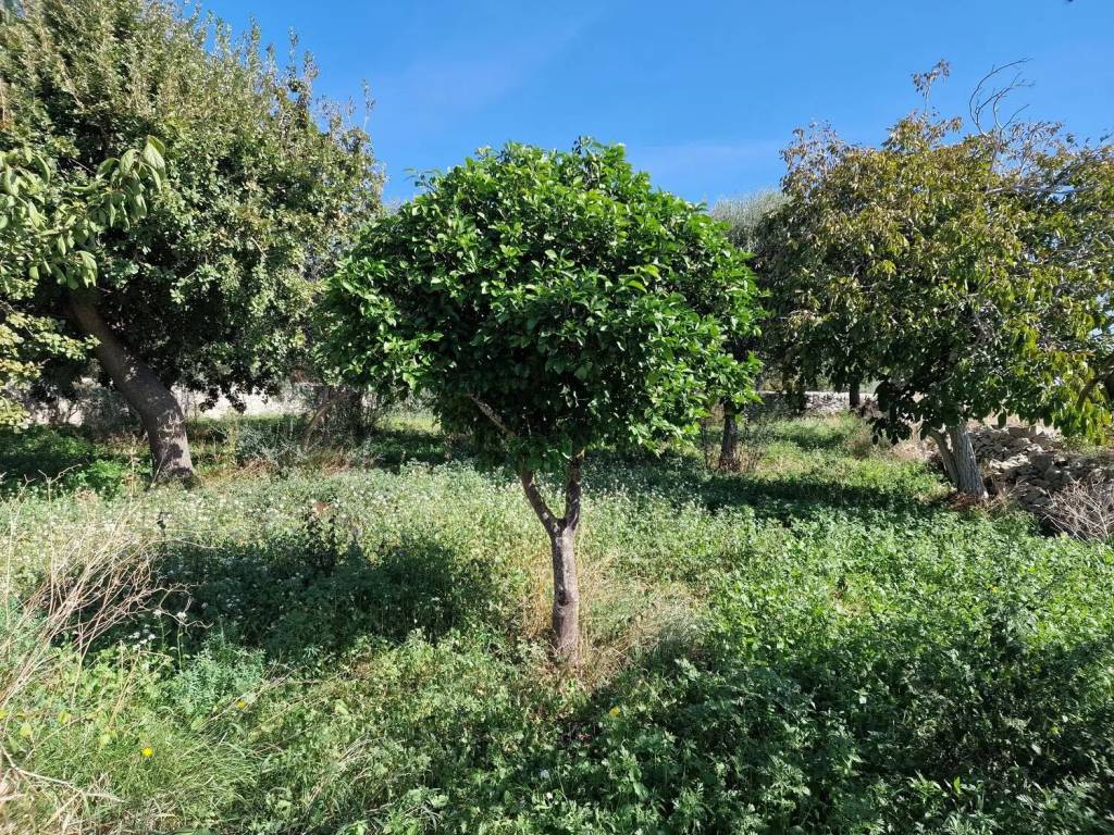 Terreno a Modica in Miglifulo No Number - Foto 3