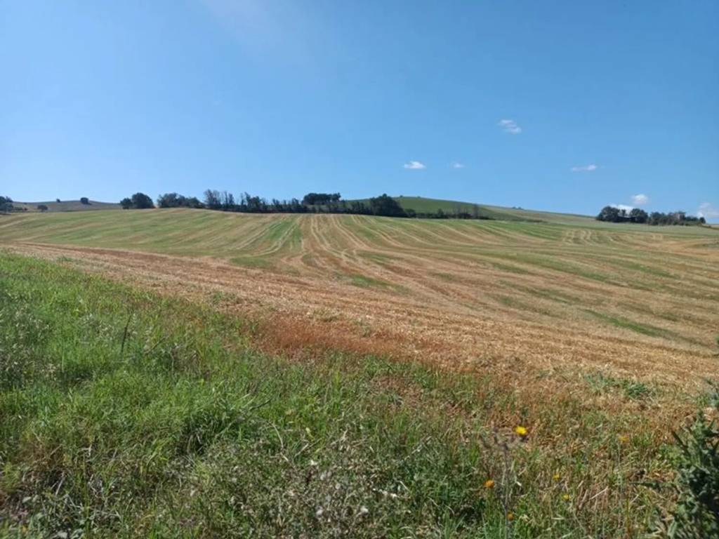 Terreno a San severino marche in Nazionale S.N.C. - Foto 2