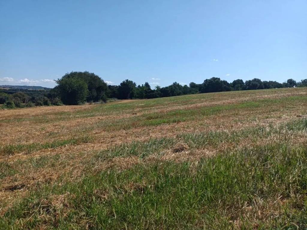 Terreno a San severino marche in Nazionale S.N.C. - Foto 3