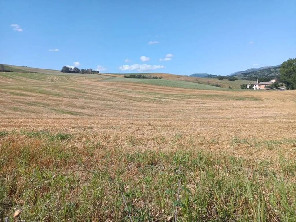 Terreno a San severino marche in Nazionale S.N.C. - Foto 5