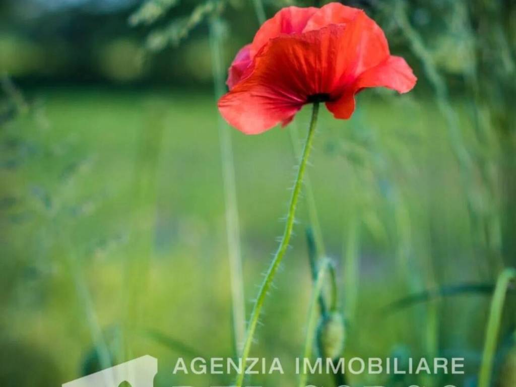 Terreno a Azzano decimo - Foto 2