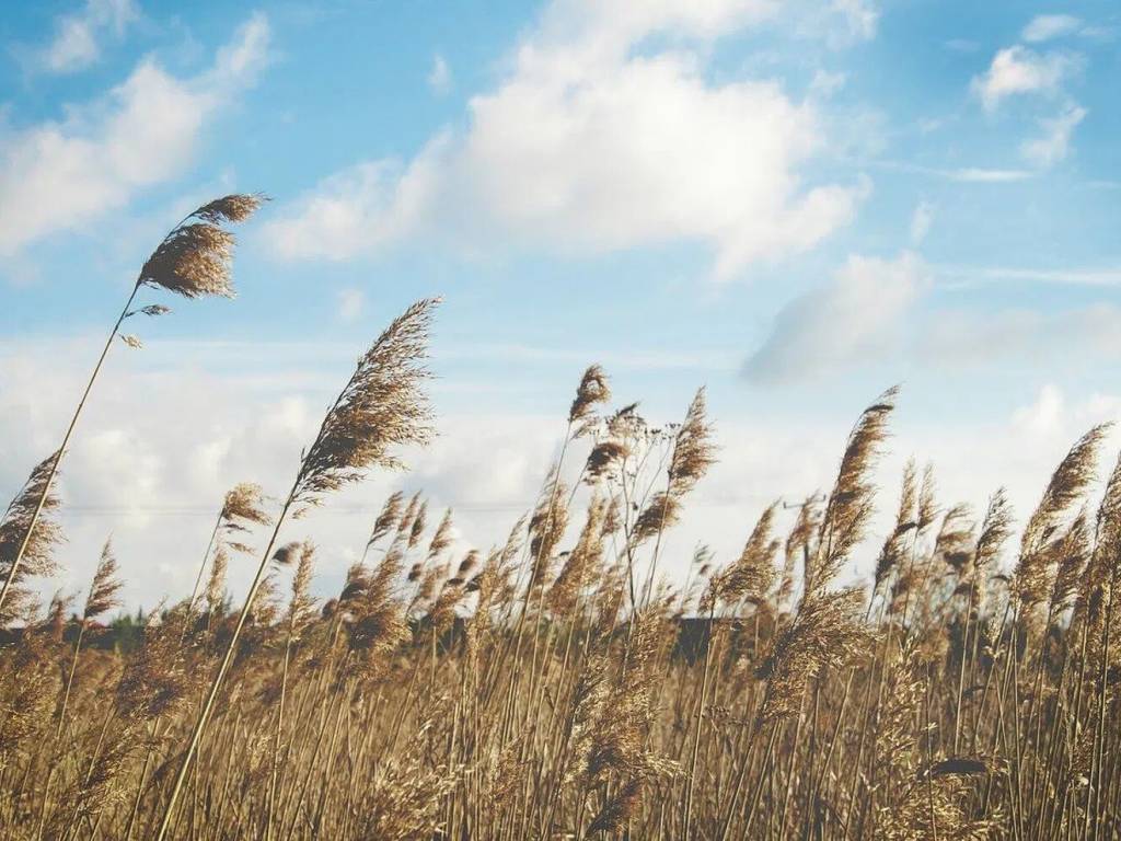 Terreno a Azzano decimo - Foto 3