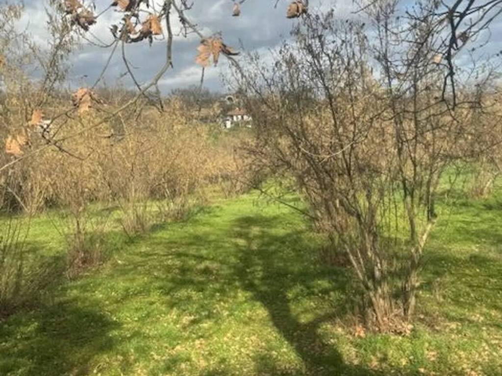 Terreno a Vitorchiano - Foto 3