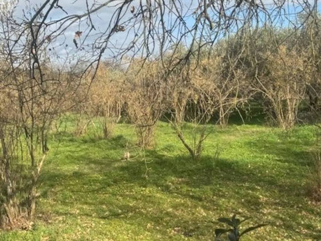 Terreno a Vitorchiano - Foto 4