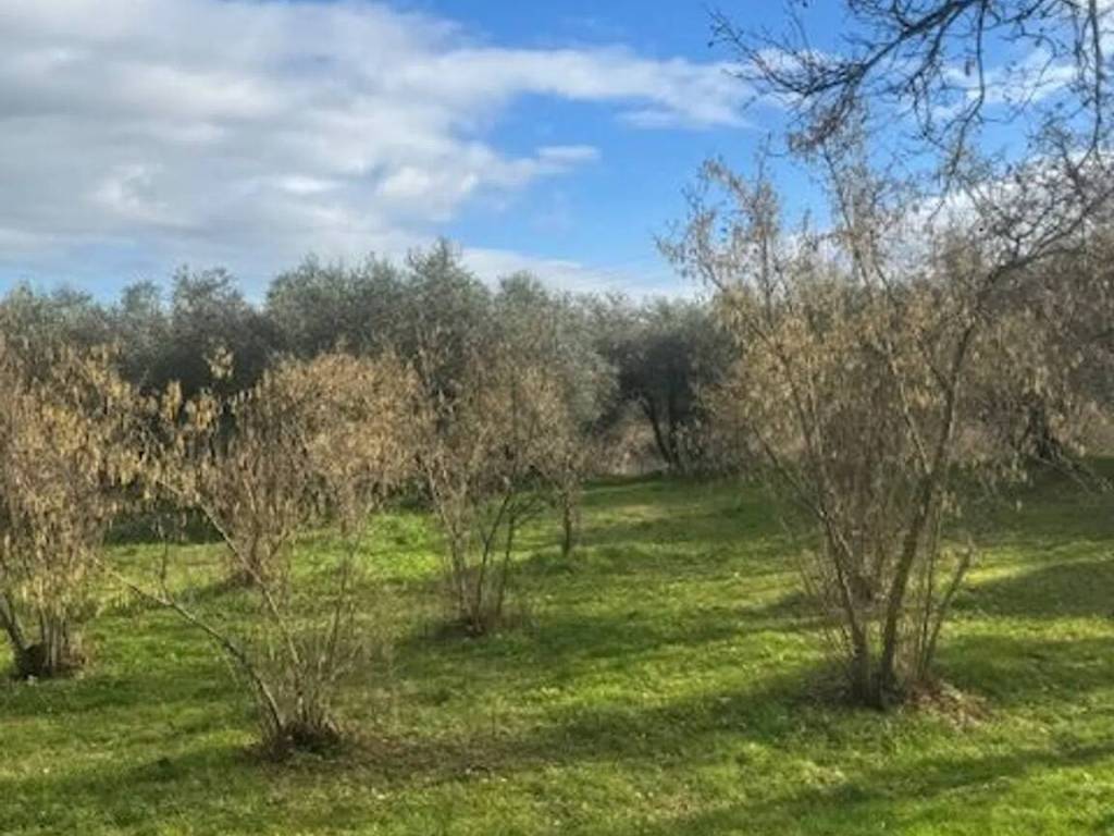 Terreno a Vitorchiano - Foto 5