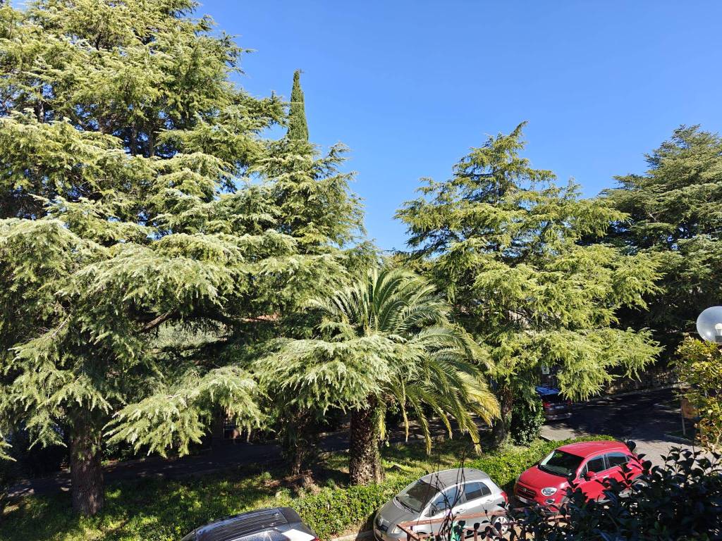 Appartamento a Trevignano romano in Via Carlo Alberto Dalla Chiesa - Foto 5