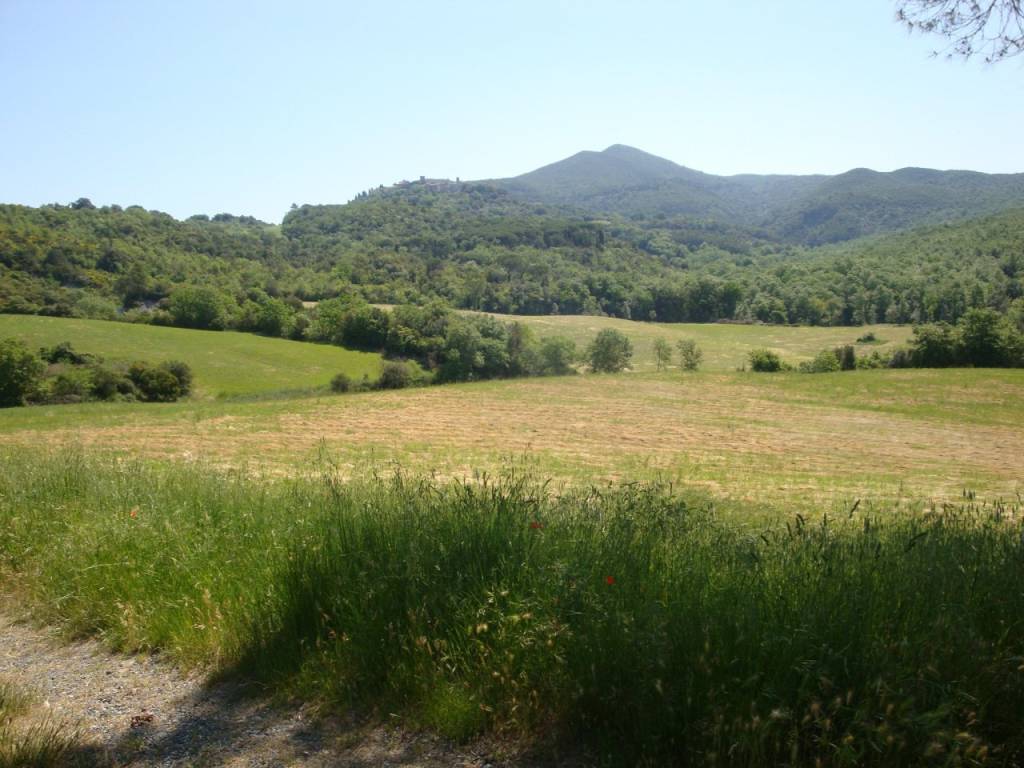 Immobile a Montecatini val di cecina - Foto 5