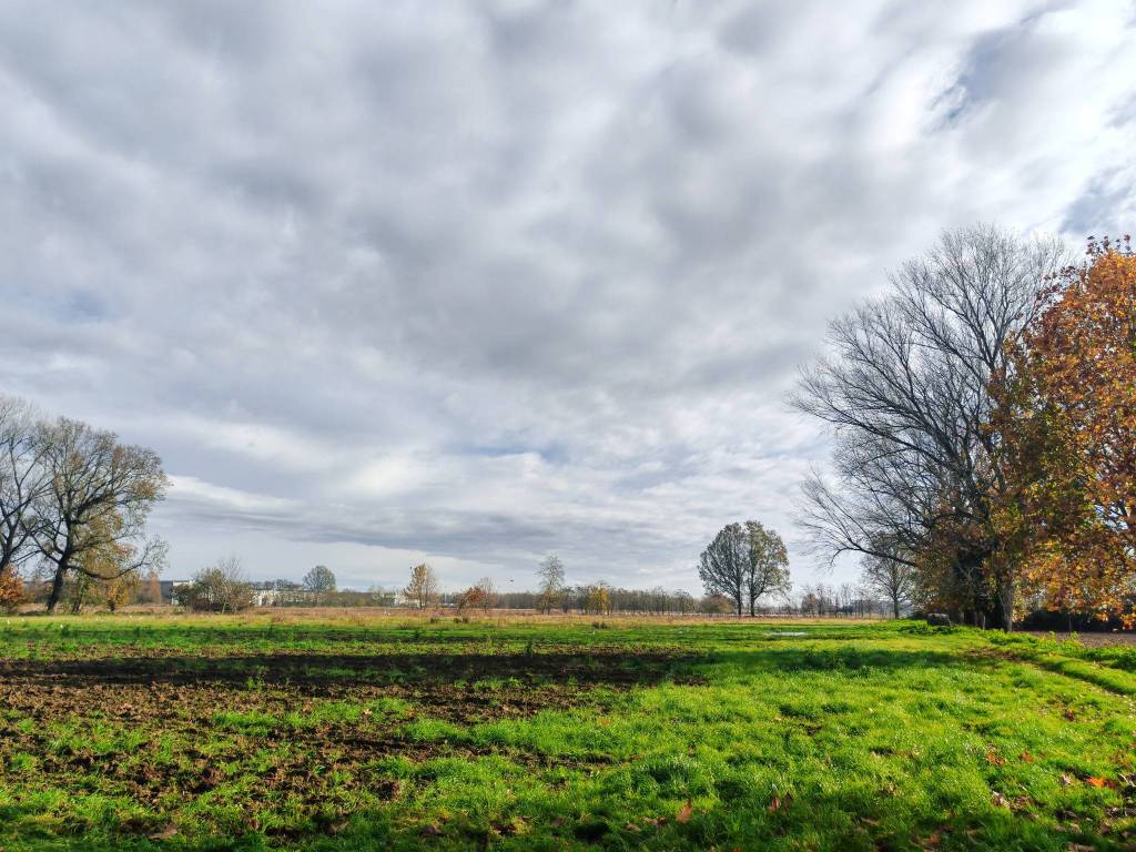 Terreno a Cremona in Via Malagnino - Foto 3