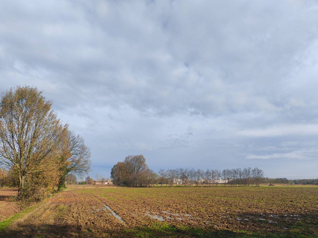 Terreno a Cremona in Via Malagnino - Foto 4