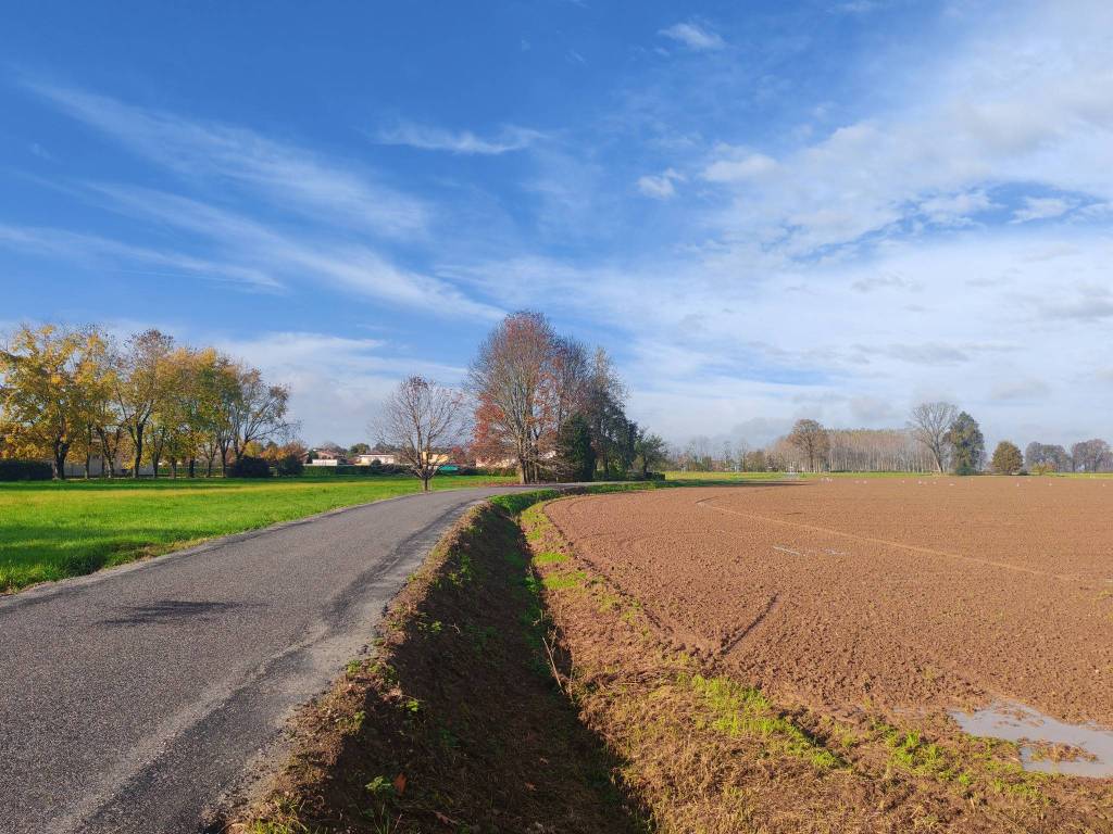 Terreno a Cremona in Via Malagnino - Foto 5