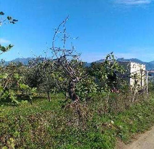 Terreno a Battipaglia - Foto 4