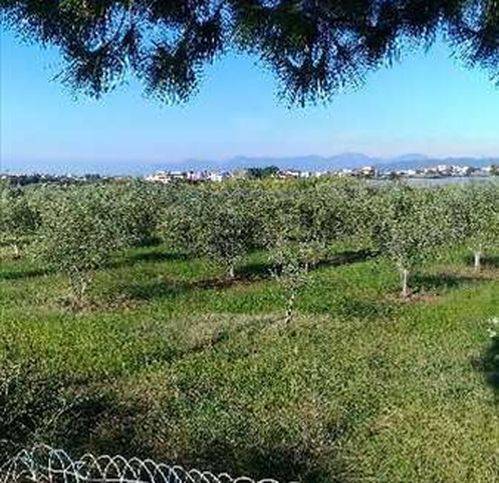 Terreno a Battipaglia - Foto 5