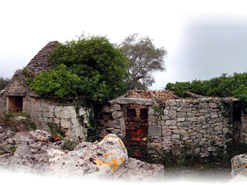 Rustico / casale a Alberobello in Unnamed Road - Foto 3