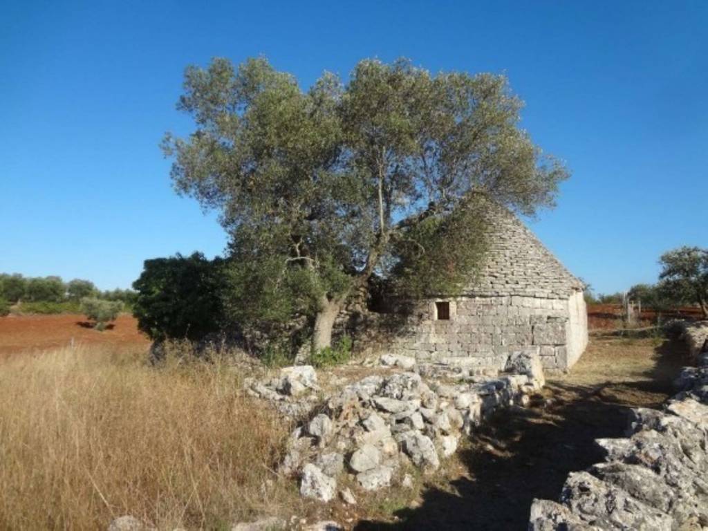 Rustico / casale a Alberobello in Unnamed Road - Foto 5