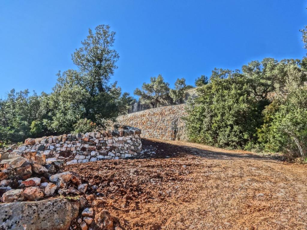 Rustico / casale a Fasano in Strada Statale 172 Dir - Foto 2