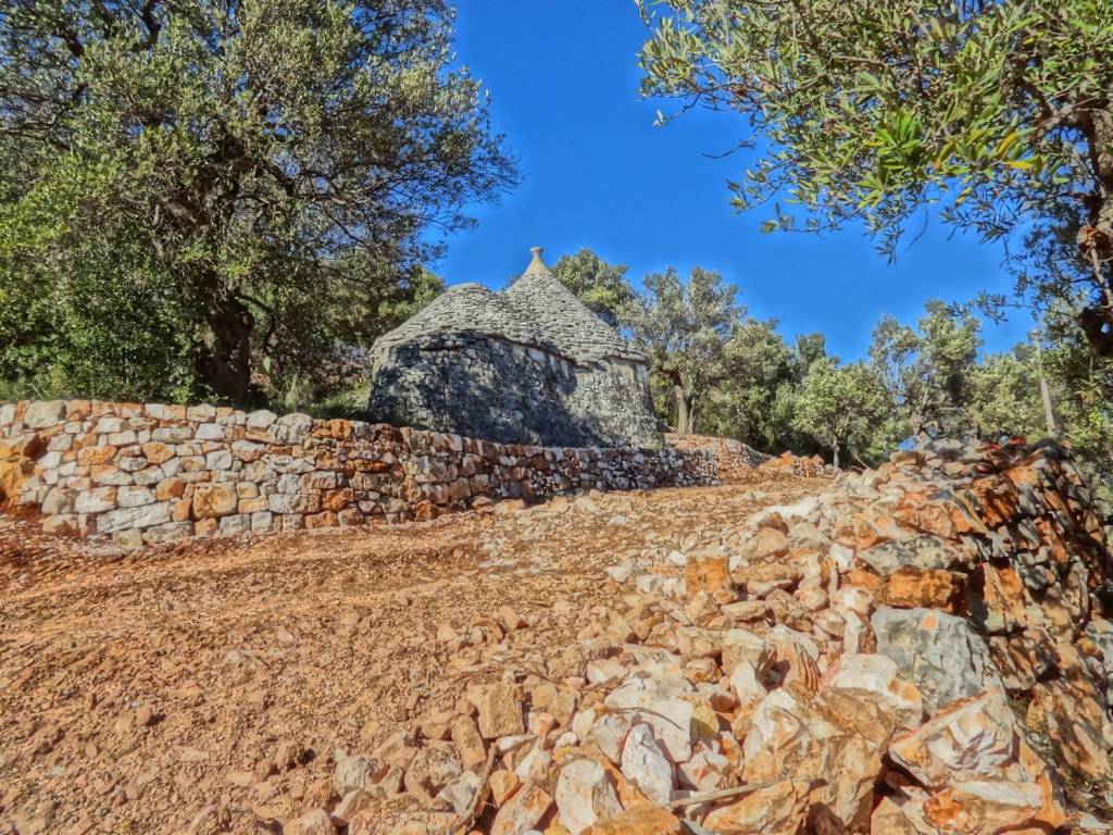 Rustico / casale a Fasano in Strada Statale 172 Dir - Foto 3