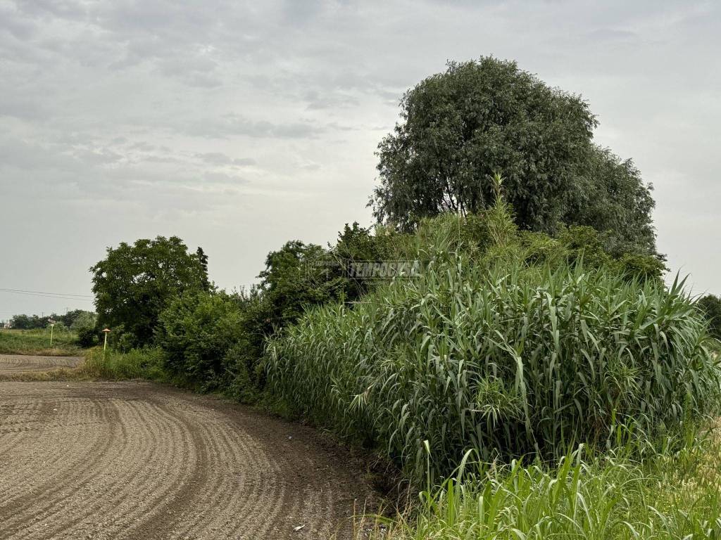Terreno a Mortara in SPEXSS494 - Foto 2