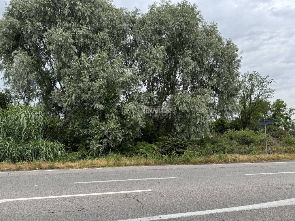 Terreno a Mortara in SPEXSS494 - Foto 3