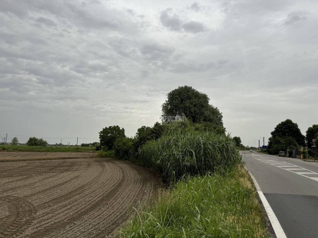 Terreno a Mortara in SPEXSS494 - Foto 4