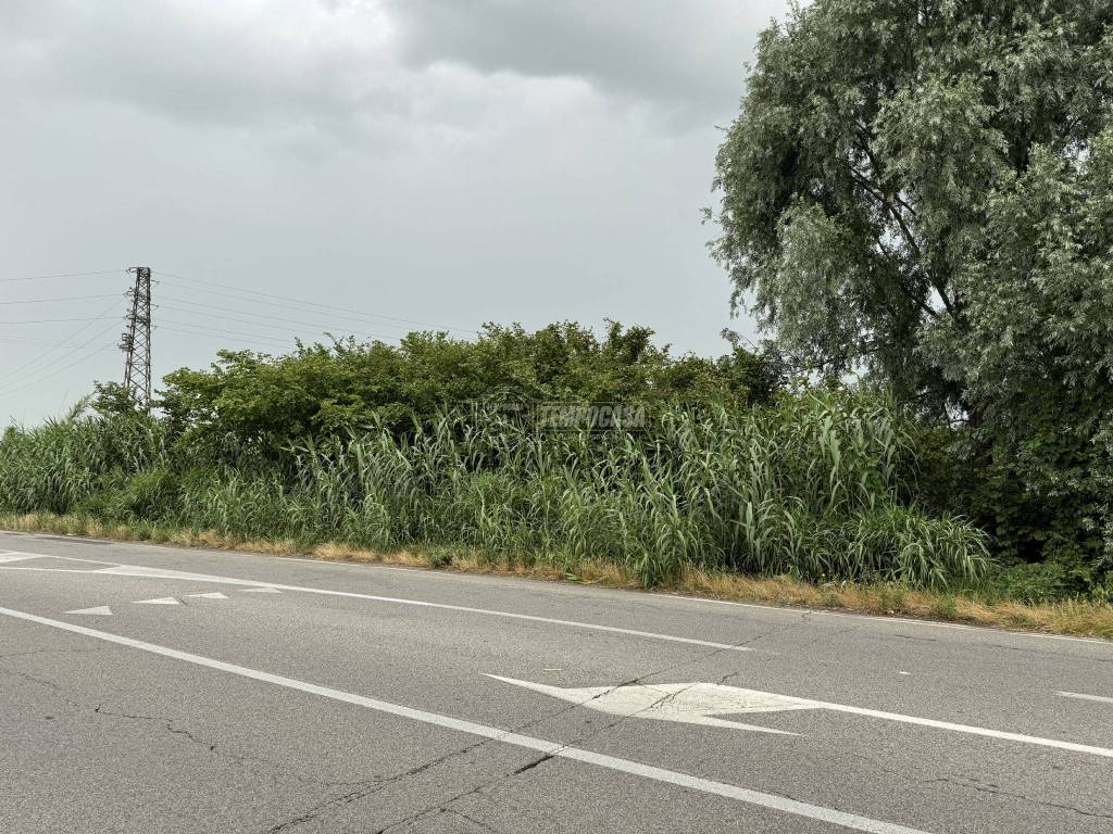 Terreno a Mortara in SPEXSS494 - Foto 5