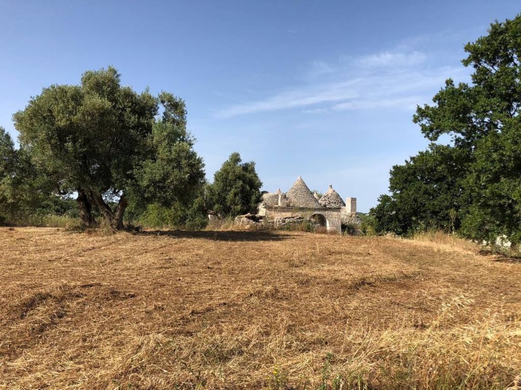 Rustico / casale a Cisternino in Via Brindisi - Foto 2