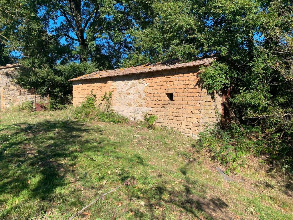 Casa indipendente a Semproniano in Strada dei Poggi - Foto 5
