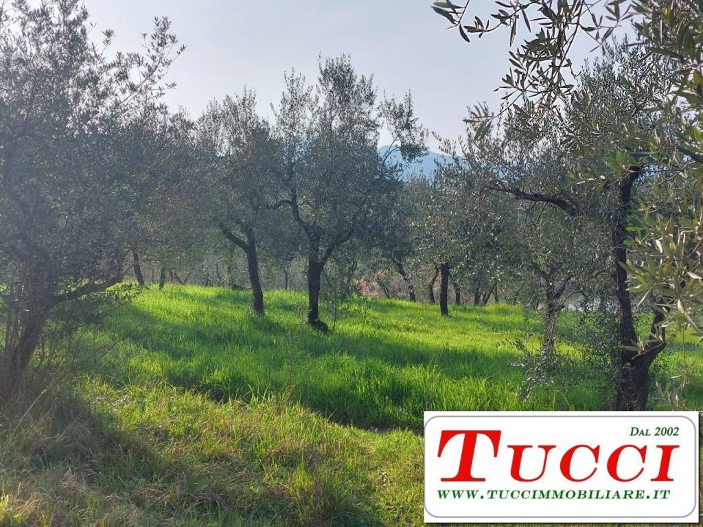 Terreno a Quarrata in Via Galigana - Foto 2