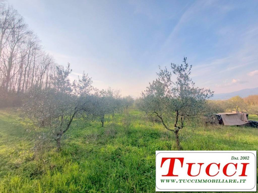 Terreno a Quarrata in Via Galigana - Foto 3