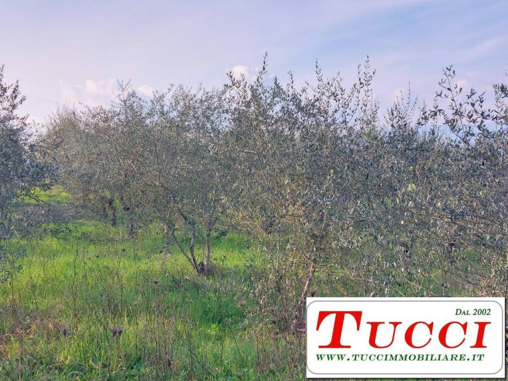 Terreno a Quarrata in Via Galigana - Foto 4