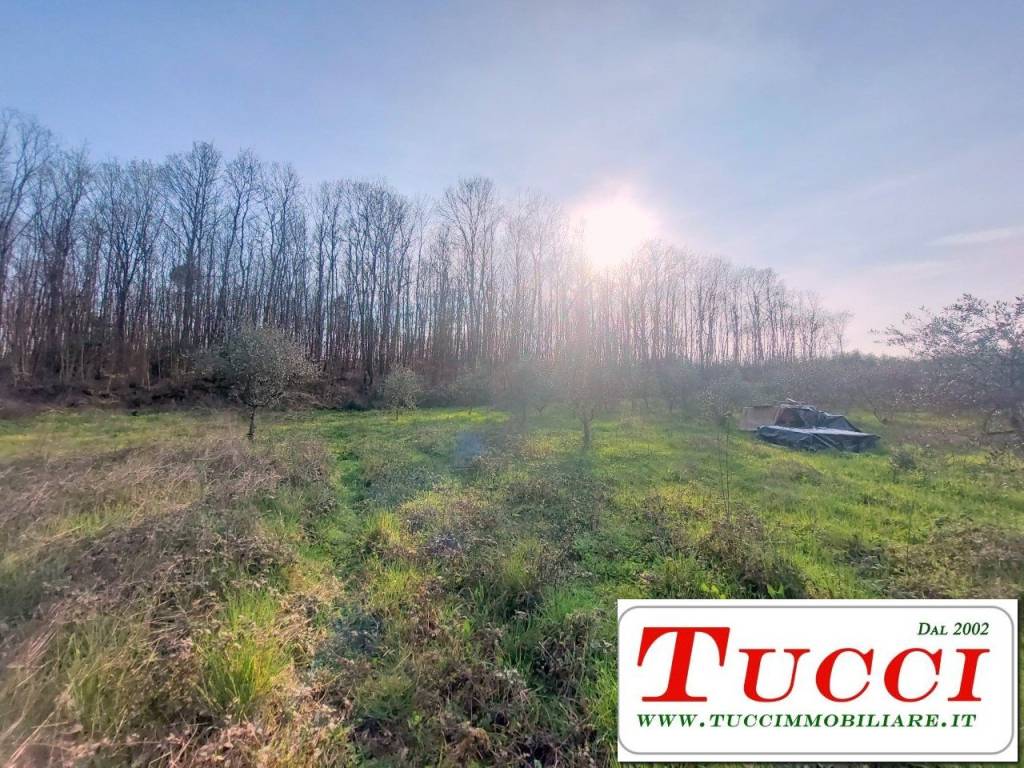 Terreno a Quarrata in Via Galigana - Foto 5