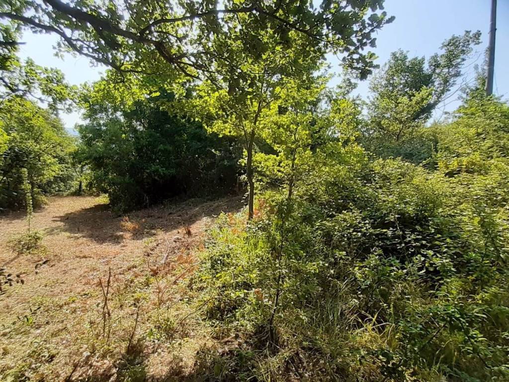 Terreno a Mignano monte lungo - Foto 3