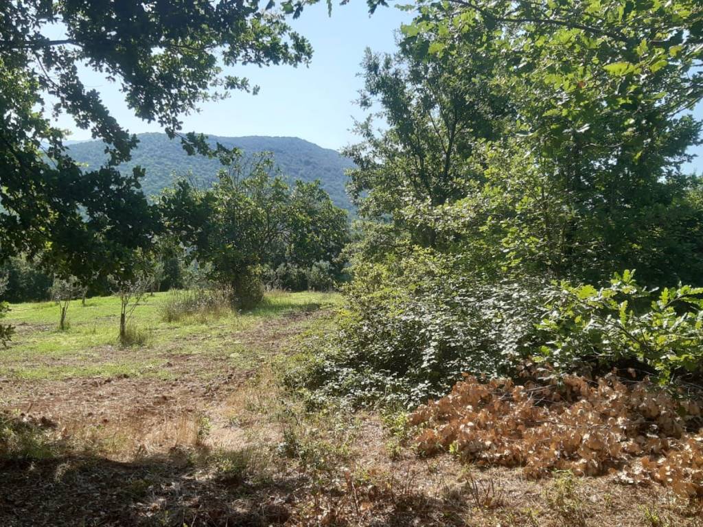 Terreno a Mignano monte lungo - Foto 4